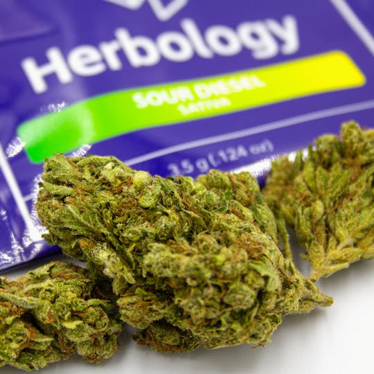 Herbology - Sour Diesel Flower 1/8th - 1