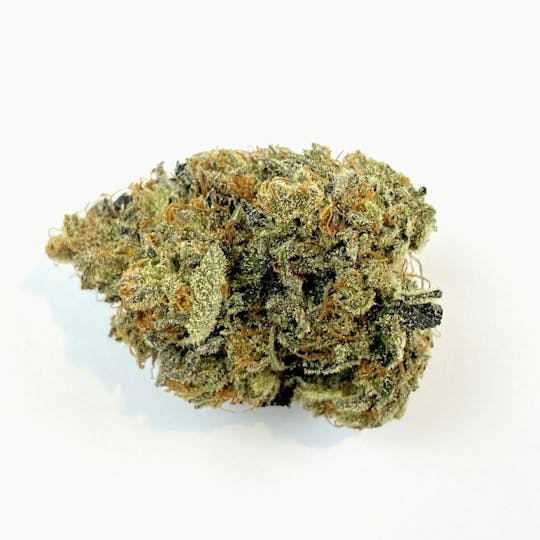 Indico - K-Smorz - 1