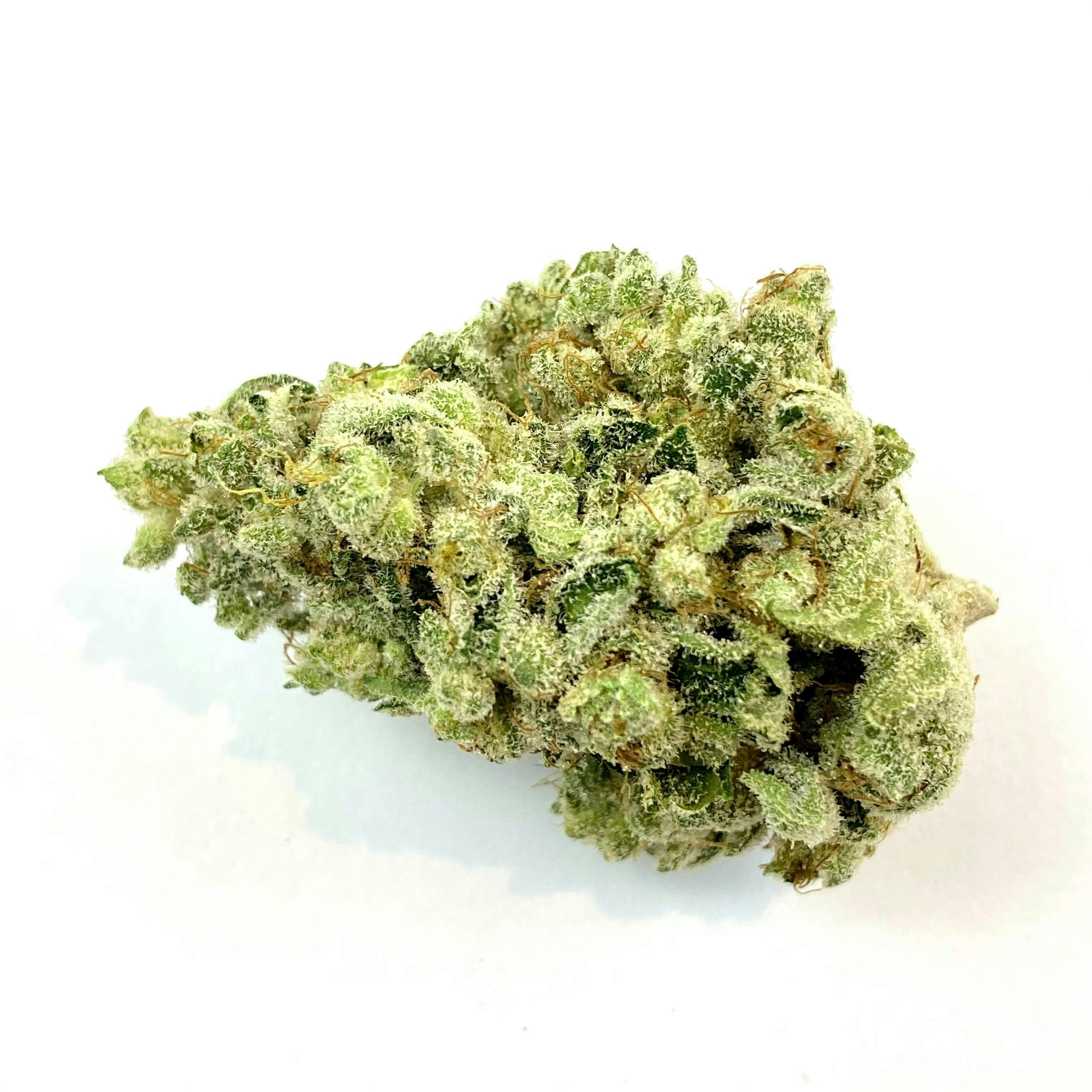 Indico - Dual OG - 1