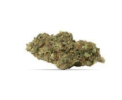 Greybeard Cannabis - Afghani Drifter - 1