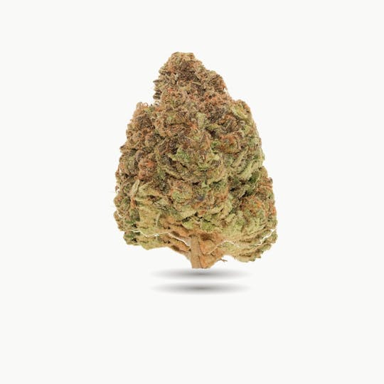 WINK Cannabis - MMMOSA - 1