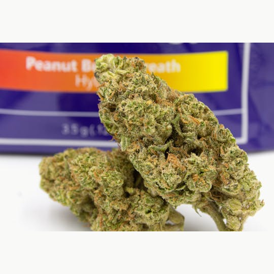 Herbology - Peanut Butter Breath Flower 1/8th - 1
