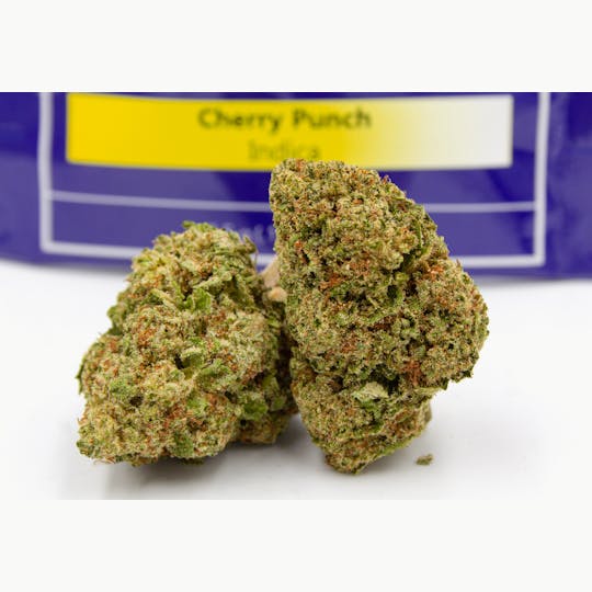 Herbology - Cherry Punch Flower 1/8th - 1