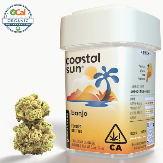 Coastal Sun - Banjo Greenhouse Flower 3.5g - 1