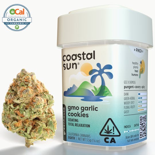Coastal Sun - GMO Garlic Cookies Greenhouse Flower 3.5g - 1