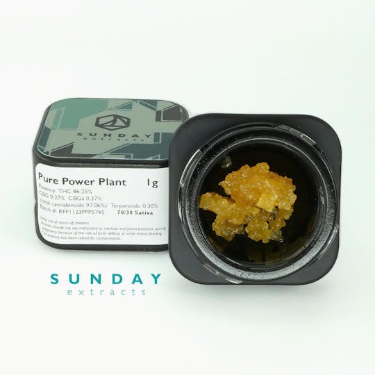 Sunday Extracts - 1g Concentrate Pure Power Plant - 1