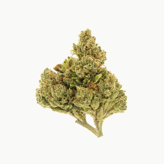 Flow Kana - Legend OG by Independent Farm | Gold - 1