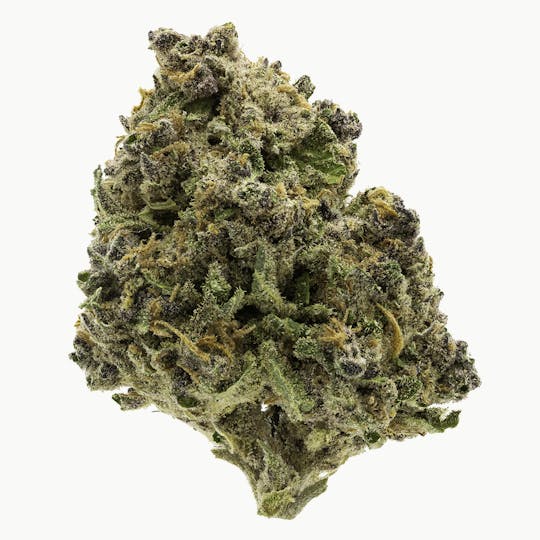 Flow Kana - Venom OG grown by Beija Flor - 1