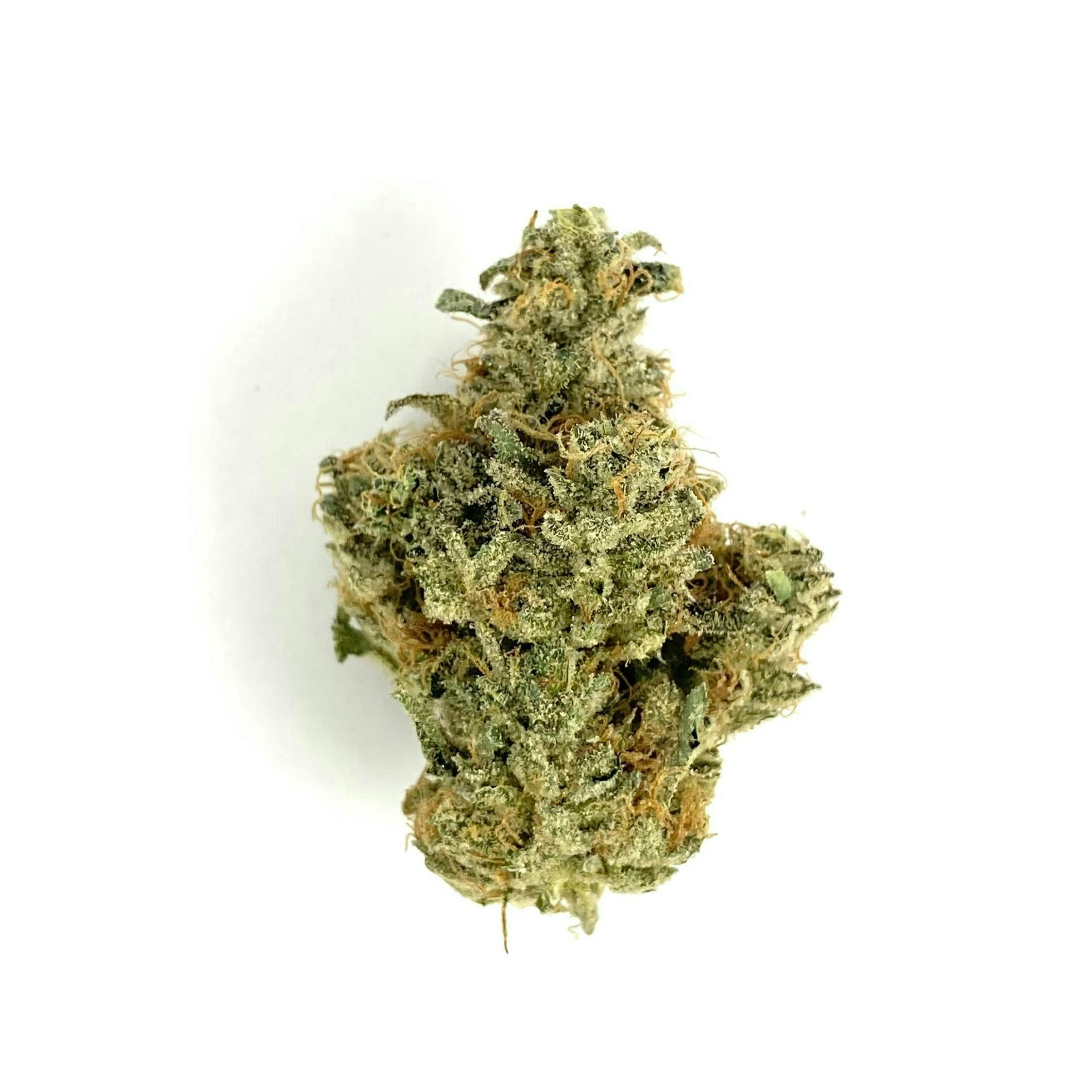 Indico - Girl Scout Glue - Ascension Farms - 1