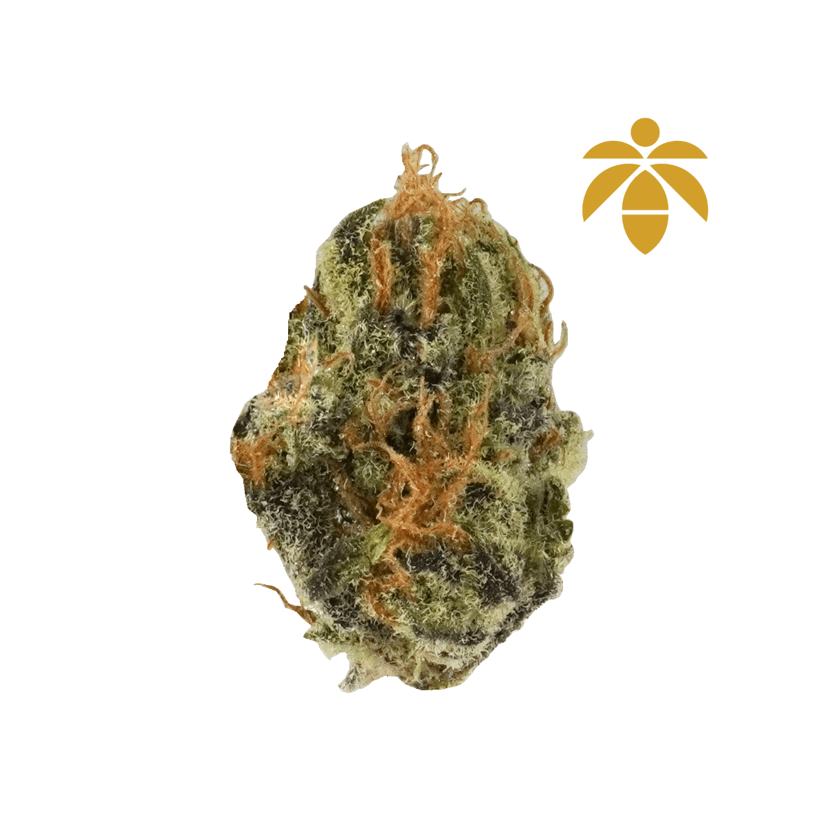 Lume Cannabis Co. - Blackberry Kush #10 Flower - 1