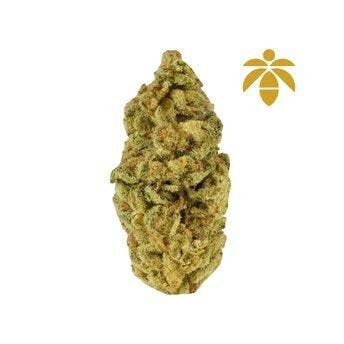 Lume Cannabis Co. - Triangle Truffle Flower - 1
