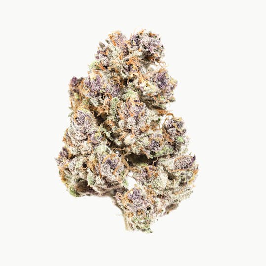 GLP - Purp X - Baby J's - 1