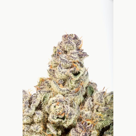 GLP - It Is What It Is - Baby J's - 1