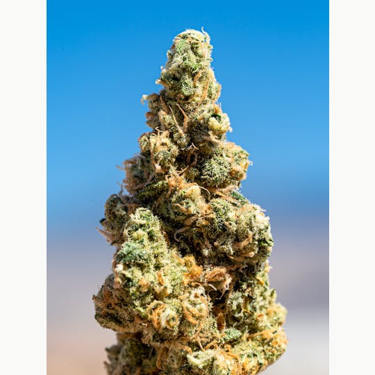 GLP - Heaven Mountain - 1