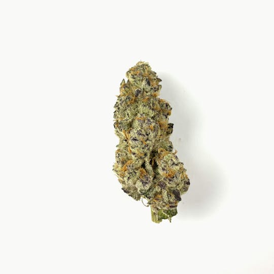 Indico - Peanut Butter Breath - 1
