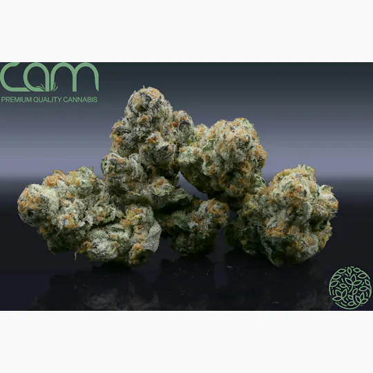 CAM - CAM | Court's Kush | Big Buds | 14g - 1
