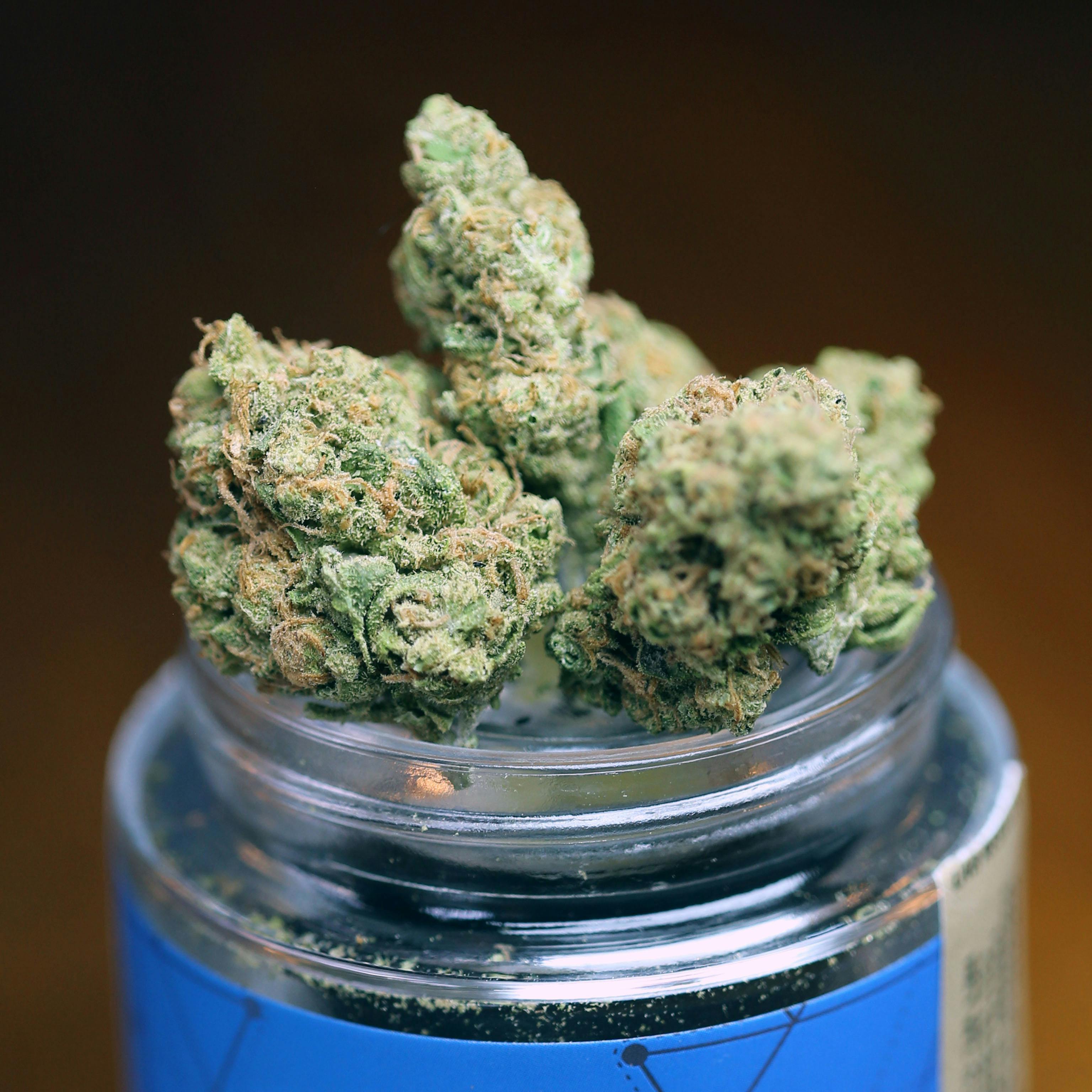 Madrone - Orange Daiquiri by @PeakOrganics (2.5% TERPS) - 1