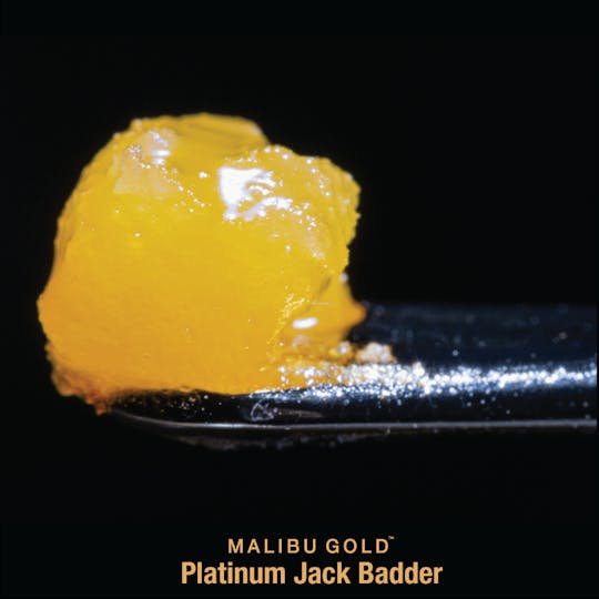 Malibu Gold - Platinum Jack Badder - 1