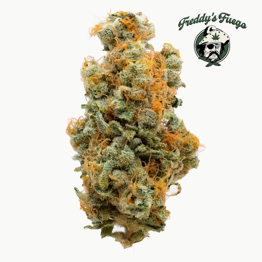 Freddy's Fuego - Hell Cat - 1