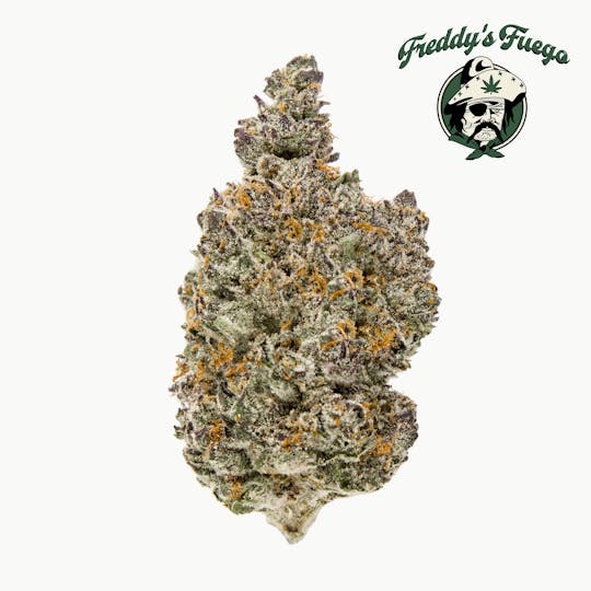 Freddy's Fuego - Larry Cake - Legacy - 1