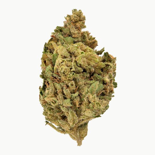 Flow Kana - Collie Man Kush | Gold - 1