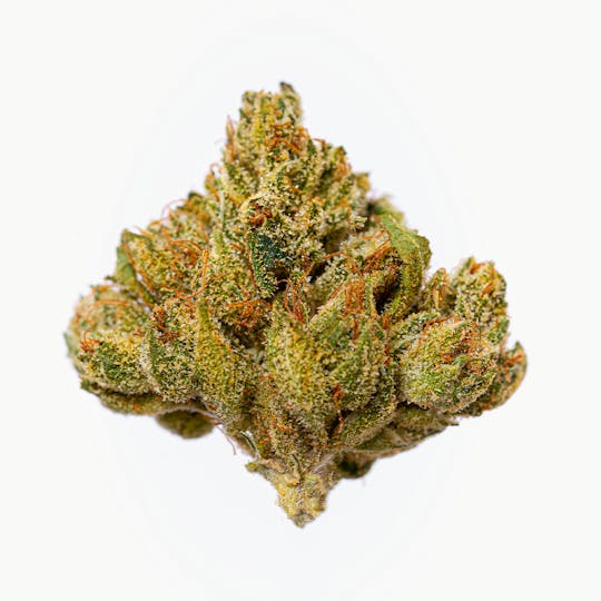 The Cure Company - The Cure Company Flower - Alien OG 3.5g - 1