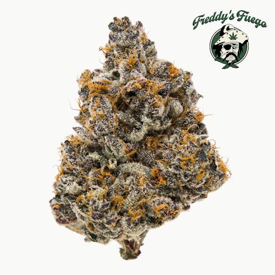 Freddy's Fuego - Sherb Crasher - Legacy - 1