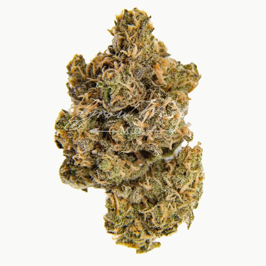 Grow West Cannabis Company - Blue Magoo | Premium | Hand-Trimmed Flower - 1