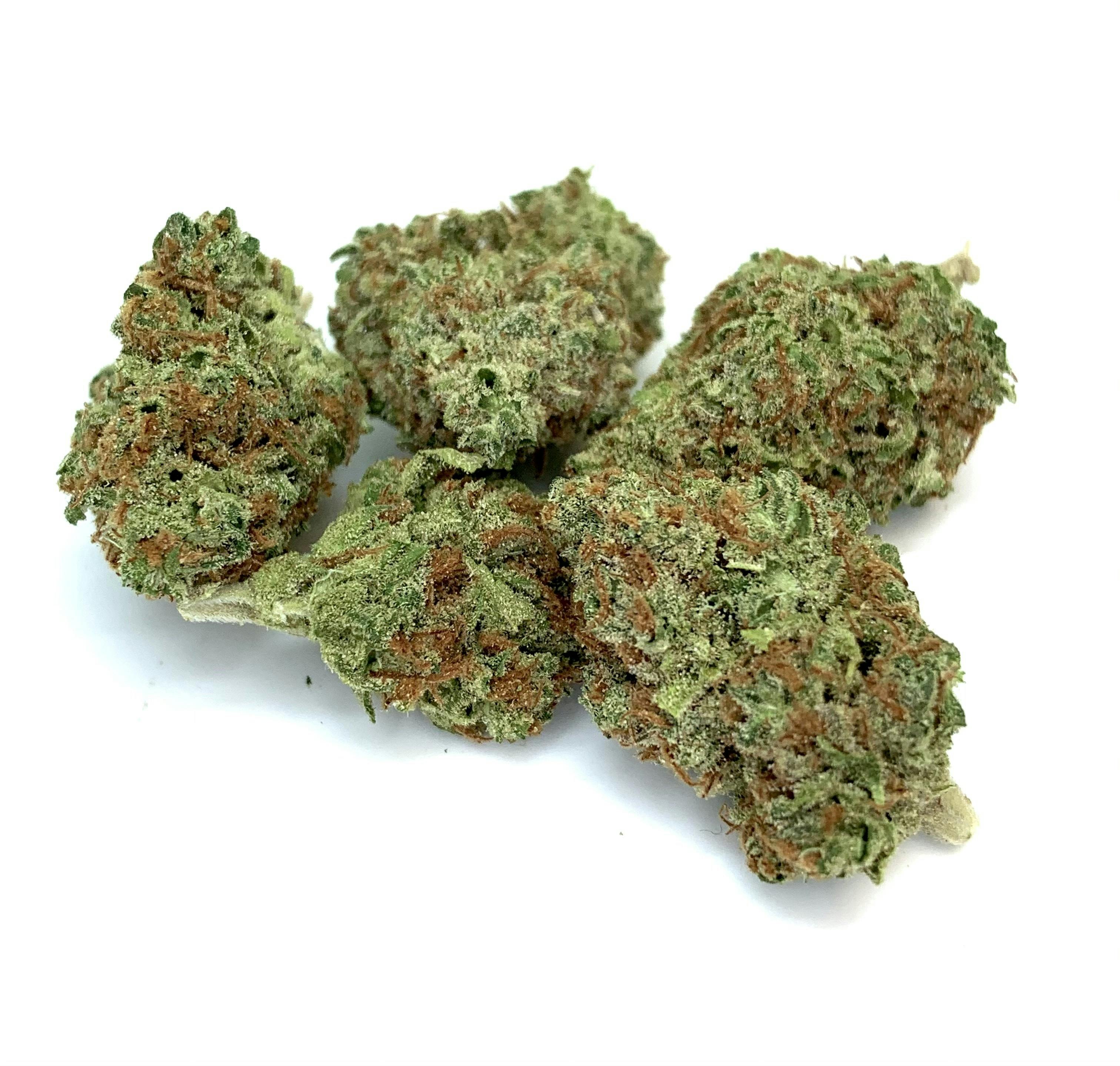 New Moon Cultivation - Sonic Screwdriver - 1