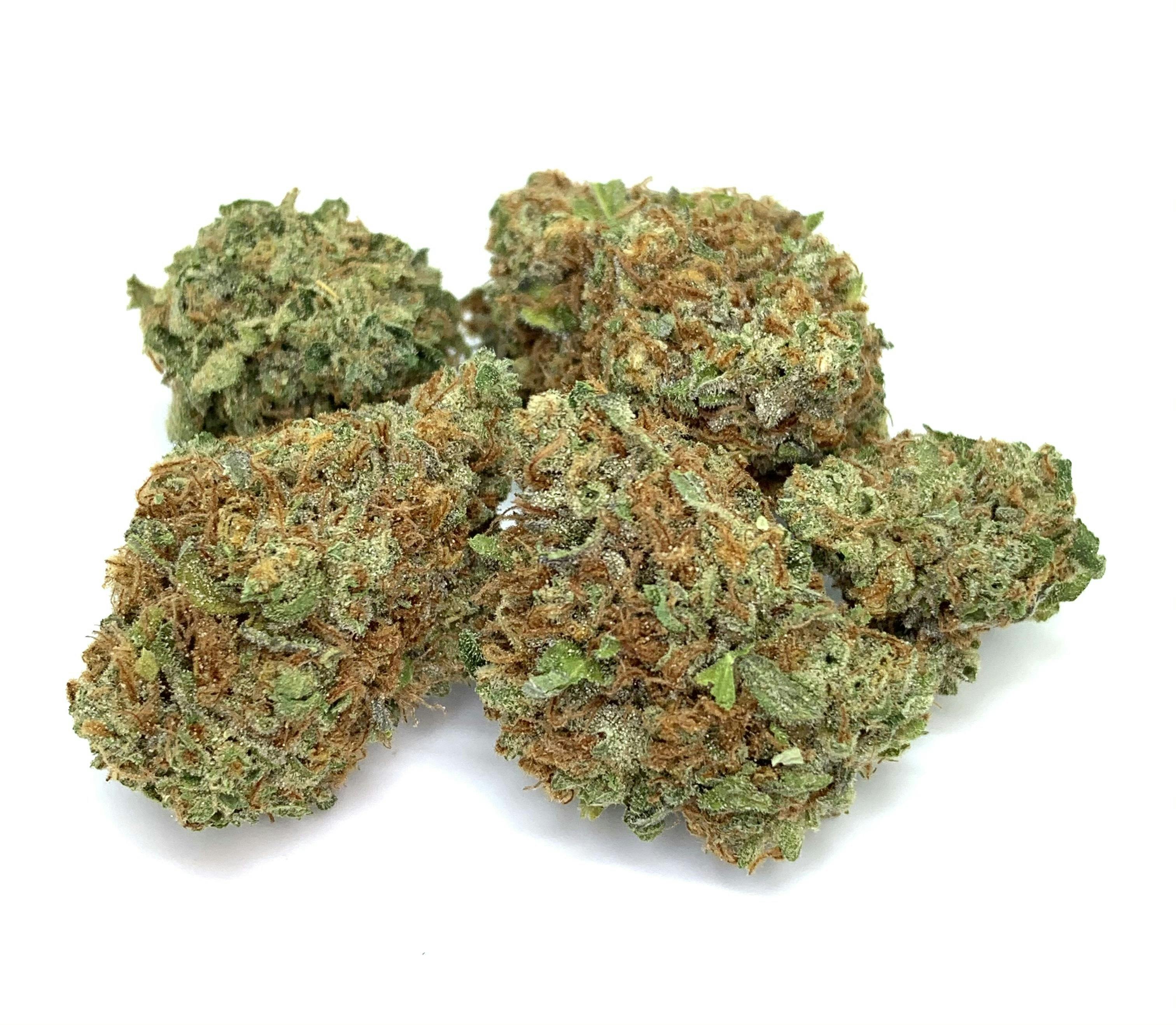 New Moon Cultivation - Tahitian Punch - 1