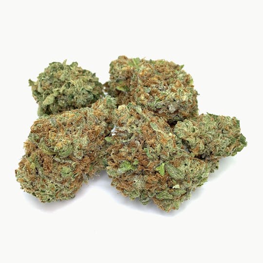 New Moon Cultivation - Tahitian Punch - 1