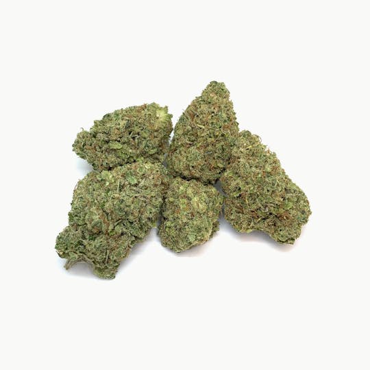 New Moon Cultivation - Cream D' Mint - 1