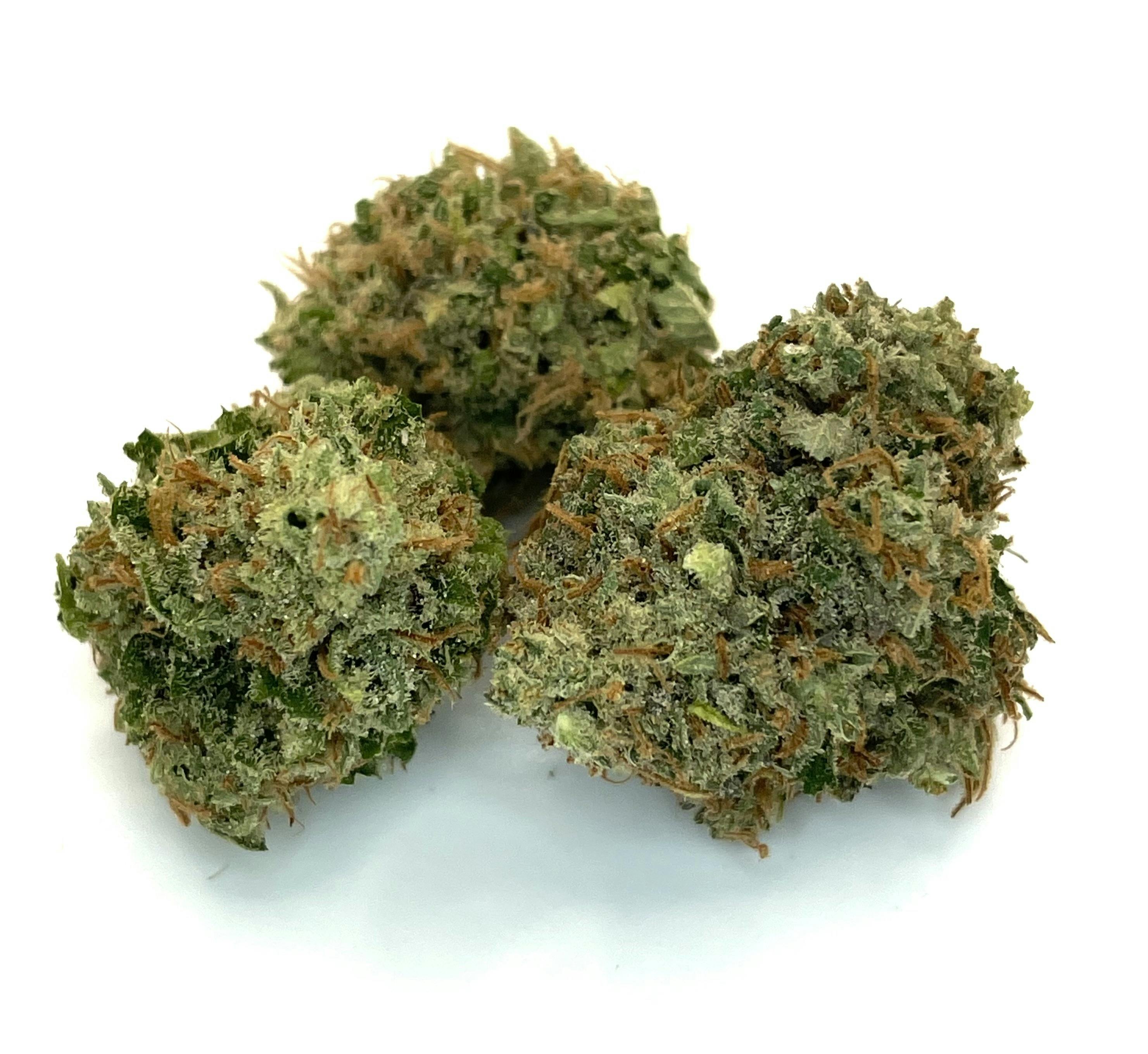 New Moon Cultivation - Lime OG - 1