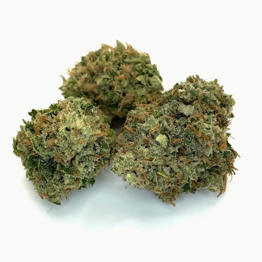 New Moon Cultivation - Lime OG - 1