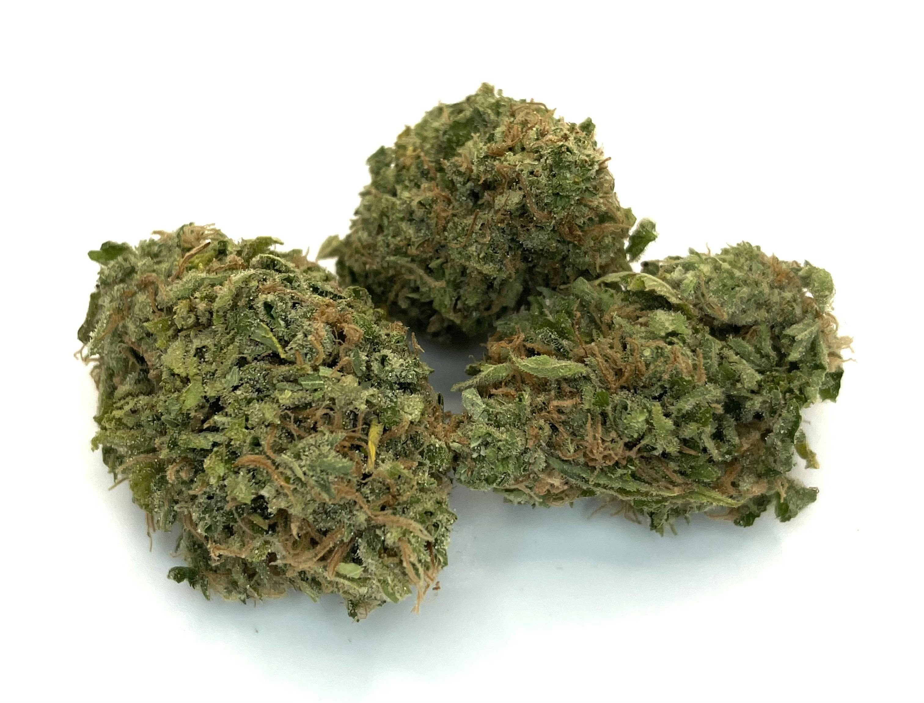 New Moon Cultivation - Super Silver Haze - 1