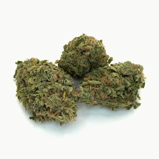 New Moon Cultivation - Super Silver Haze - 1