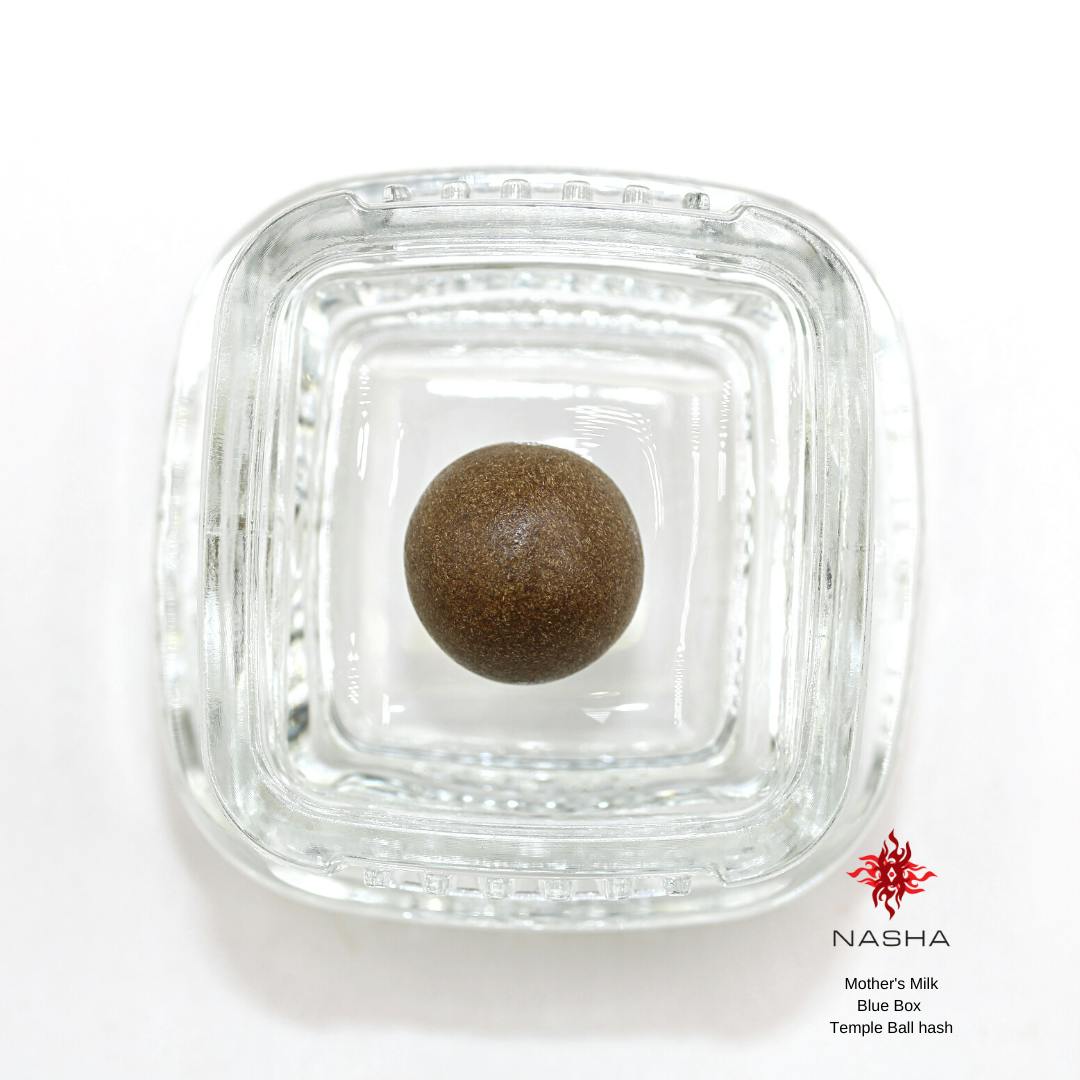 NASHA - Mother's Milk Blue Temple Ball Hash by Bandwagon Gardens - 1