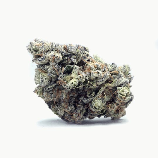 High Tide Organics - Wedding Crashers | Indoor - 1