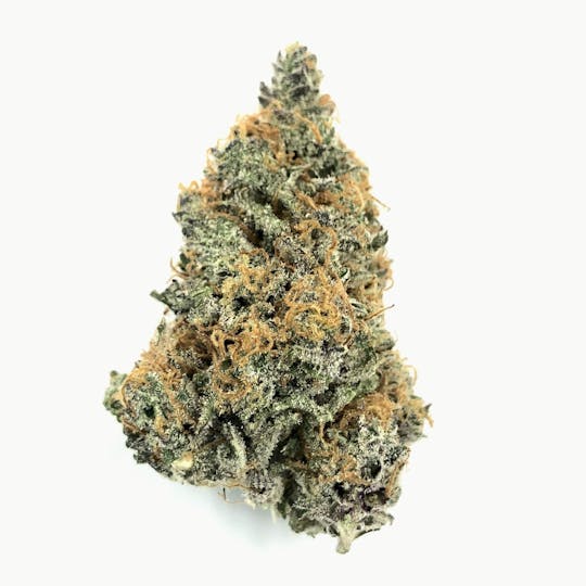 Indico - Blueberry Cookies - 1