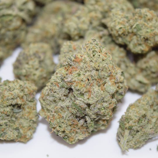 The Maine Cannagar Co - Weekend at Bernie's + Sour Sour - Pro-Roll - 1