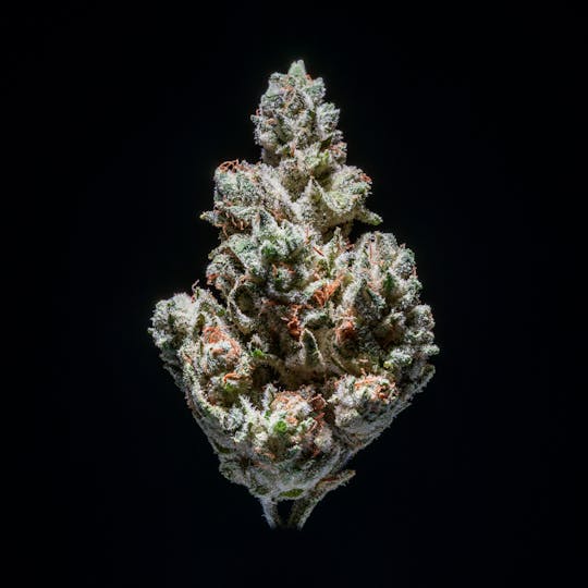 CRU Cannabis - Cookie Glue (3.5 Grams) - 1