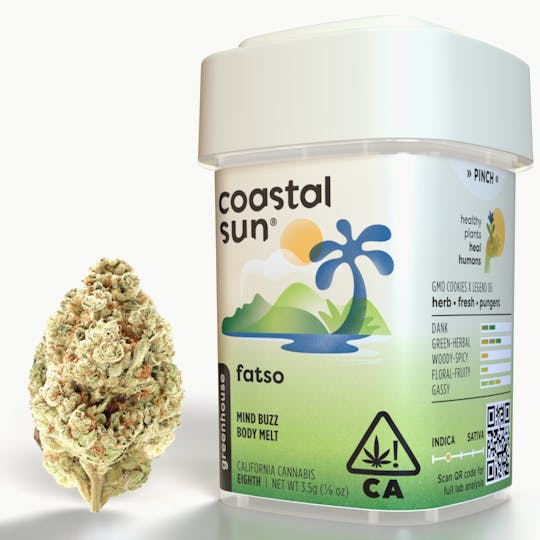 Coastal Sun - Fatso Greenhouse Flower 3.5g - 1