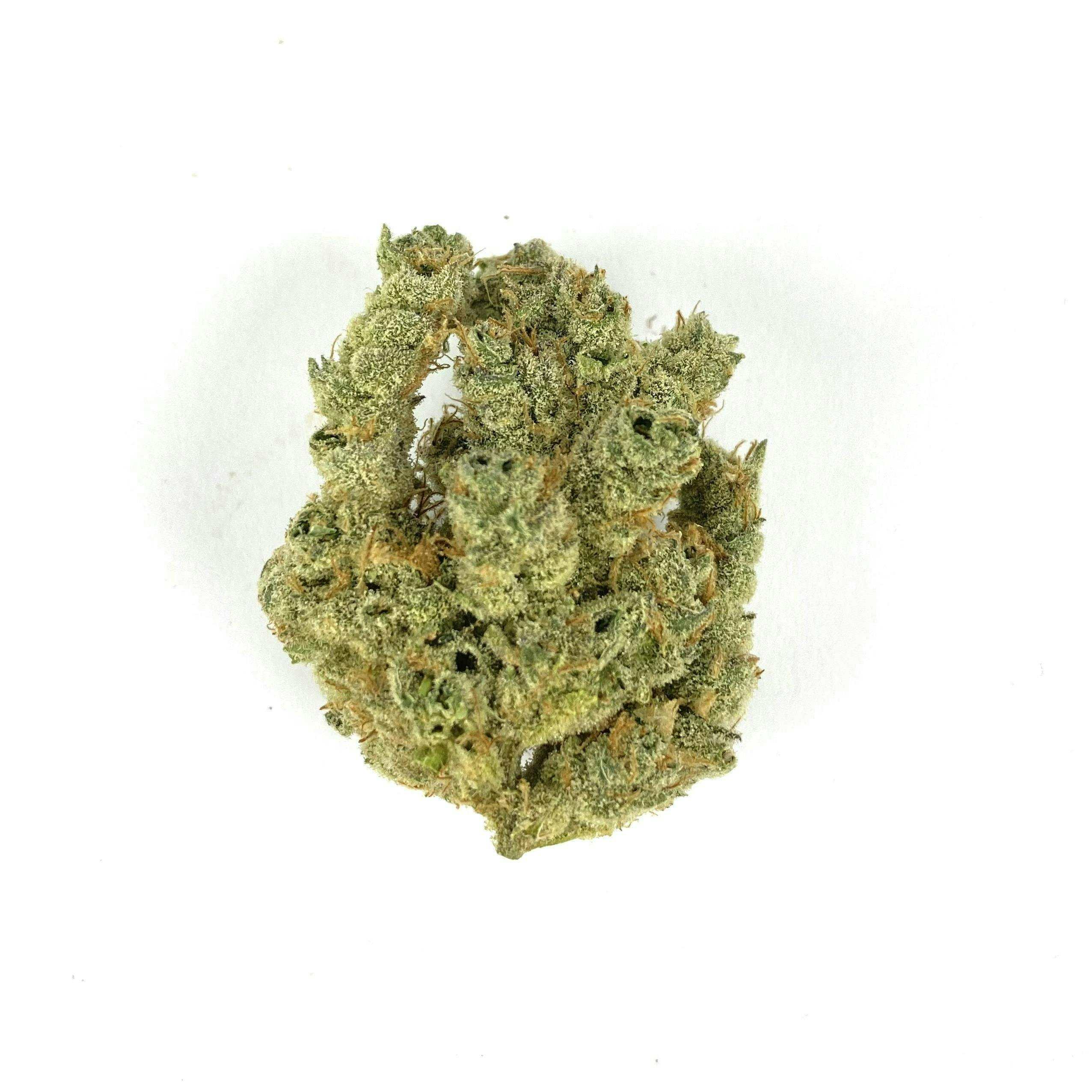 Indico - Jungle Diamonds - 1