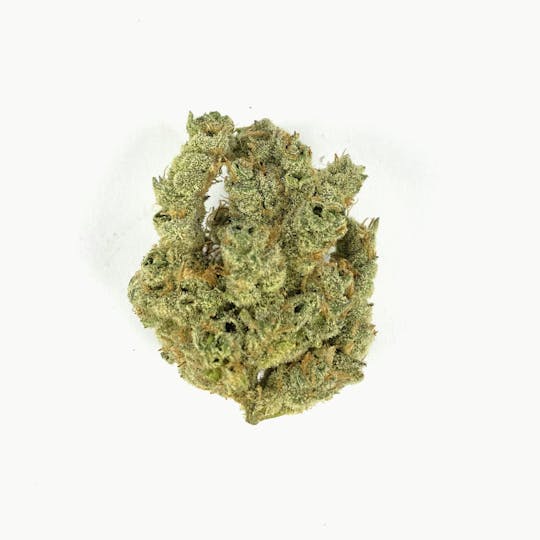 Indico - Jungle Diamonds - 1