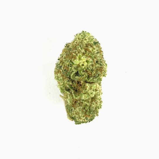 Indico - Blueberry Hashplant - 1