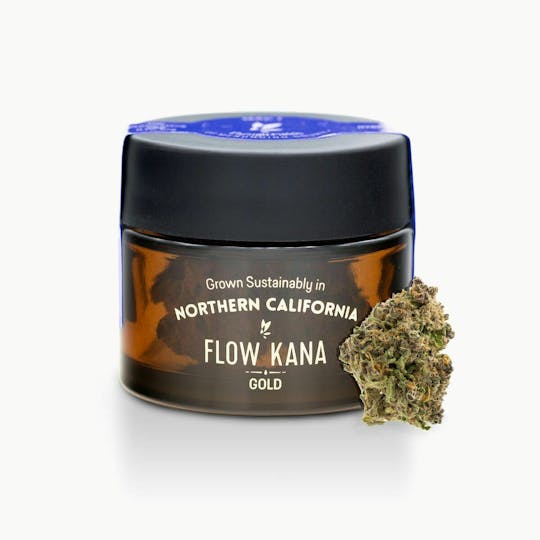 Flow Kana - Lava Dawg by Sticky | Gold - 1