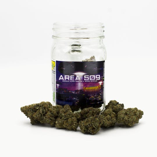 Phat Panda - Area 509 - WA - 1