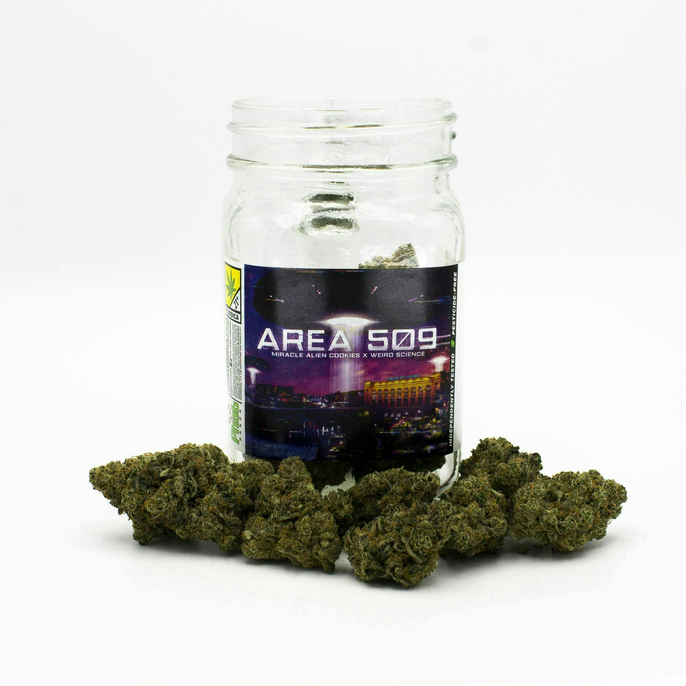 Phat Panda - Phat Panda | Area 509 | Big Buds - 1