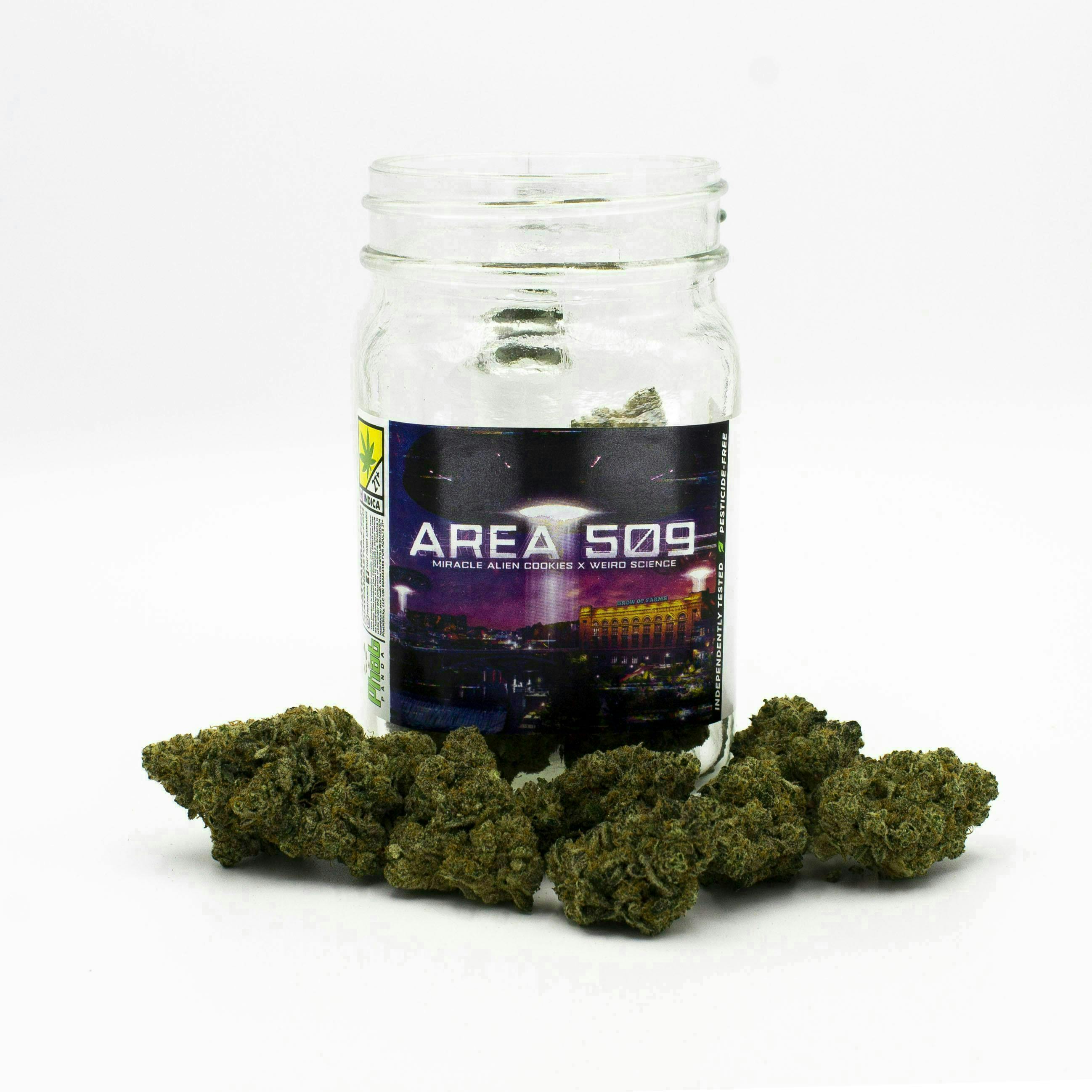 Phat Panda - Area 509 | Big Buds - 1