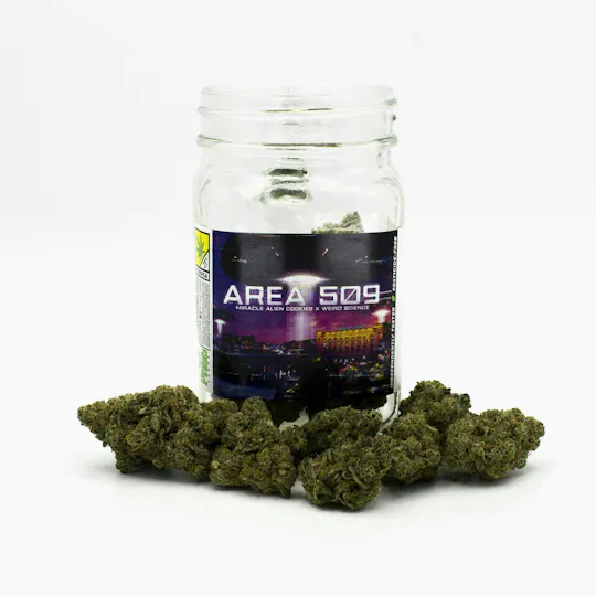 Phat Panda - Area 509 | Big Buds - 1